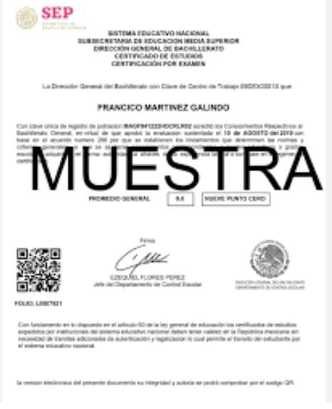Licencia de gobierno